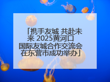 携手友城 共赴未来 2025黄河口国际友城合作交流会在东营市成功举办