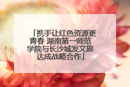 携手让红色资源更青春 湖南第一师范学院与长沙城发文旅达成战略合作