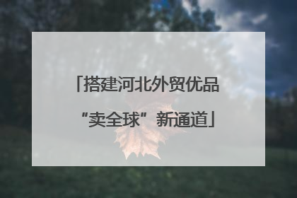 搭建河北外贸优品“卖全球”新通道