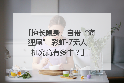 擅长隐身、自带“海狸尾” 彩虹-7无人机究竟有多牛？