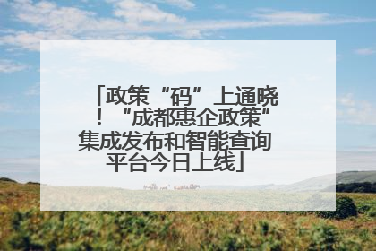 政策“码”上通晓！“成都惠企政策”集成发布和智能查询平台今日上线