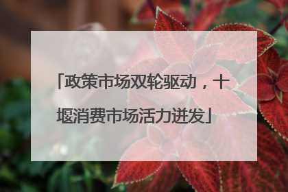 政策市场双轮驱动，十堰消费市场活力迸发
