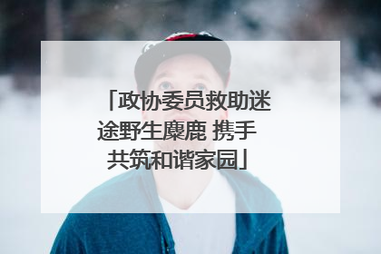 政协委员救助迷途野生麋鹿 携手共筑和谐家园