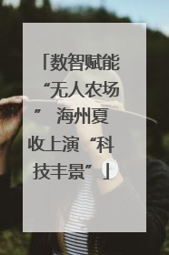 数智赋能“无人农场” 海州夏收上演“科技丰景”