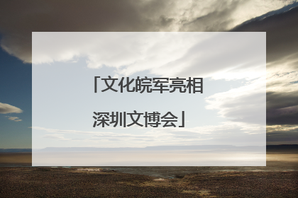 文化皖军亮相深圳文博会