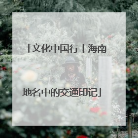 文化中国行丨海南地名中的交通印记