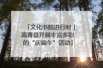 文化书院进行时｜高青县开展丰富多彩的“庆端午”活动