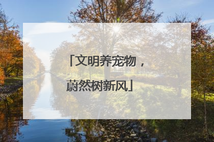 文明养宠物，蔚然树新风