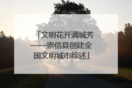 文明花开满城芳——崇信县创建全国文明城市综述