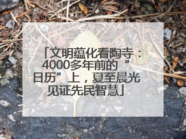 文明蕴化看陶寺：4000多年前的“日历”上，夏至晨光见证先民智慧