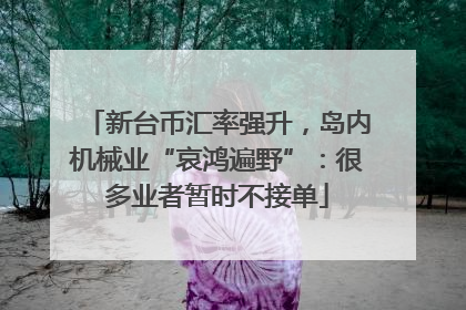 新台币汇率强升，岛内机械业“哀鸿遍野”：很多业者暂时不接单