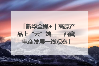新华全媒+｜高原产品上“云”端——西藏电商发展一线观察