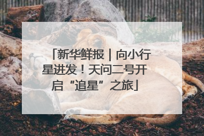 新华鲜报｜向小行星进发！天问二号开启“追星”之旅