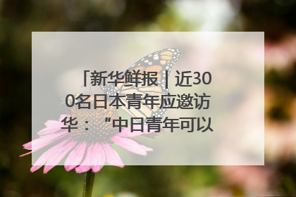 新华鲜报｜近300名日本青年应邀访华：“中日青年可以创造更好的未来”