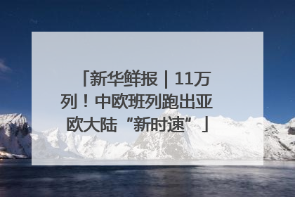 新华鲜报｜11万列！中欧班列跑出亚欧大陆“新时速”