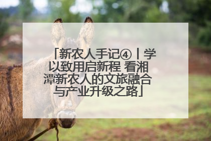 新农人手记④丨学以致用启新程 看湘潭新农人的文旅融合与产业升级之路