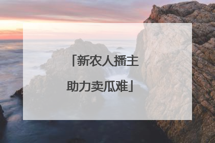 新农人播主 助力卖瓜难