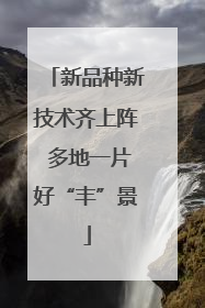 新品种新技术齐上阵 多地一片好“丰”景