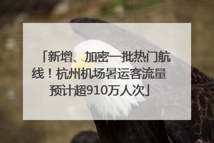 新增、加密一批热门航线！杭州机场暑运客流量预计超910万人次