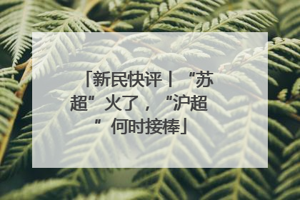 新民快评丨“苏超”火了，“沪超”何时接棒