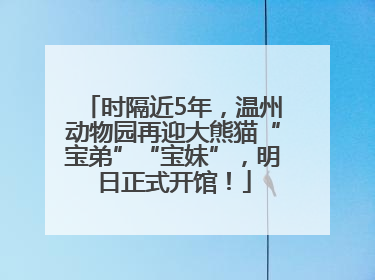 时隔近5年，温州动物园再迎大熊猫“宝弟”“宝妹”，明日正式开馆！