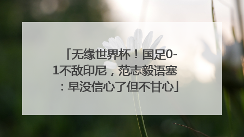 无缘世界杯！国足0-1不敌印尼，范志毅语塞：早没信心了但不甘心