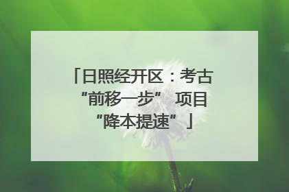 日照经开区：考古“前移一步” 项目“降本提速”