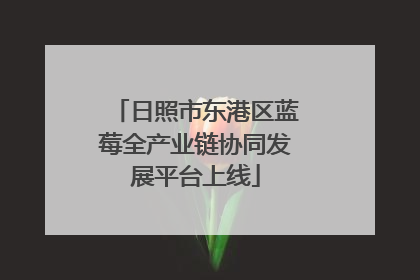 日照市东港区蓝莓全产业链协同发展平台上线