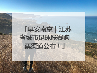 早安南京｜江苏省城市足球联赛购票渠道公布！