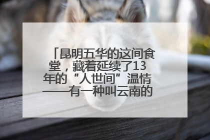 昆明五华的这间食堂，藏着延续了13年的“人世间”温情——有一种叫云南的生活之365天