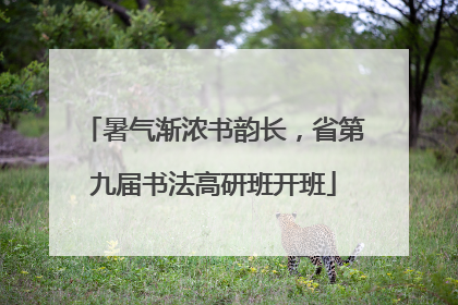 暑气渐浓书韵长，省第九届书法高研班开班