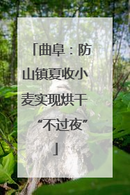 曲阜：防山镇夏收小麦实现烘干“不过夜”