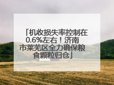 机收损失率控制在0.6%左右！济南市莱芜区全力确保粮食颗粒归仓
