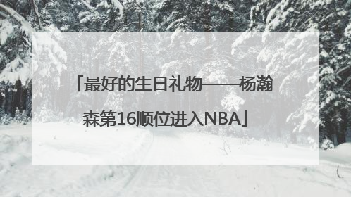 最好的生日礼物——杨瀚森第16顺位进入NBA