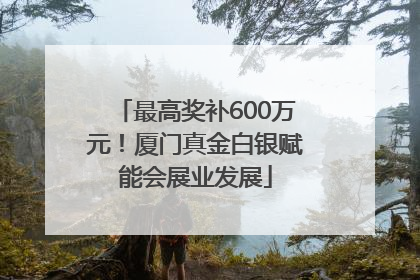 最高奖补600万元！厦门真金白银赋能会展业发展