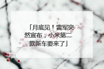 月底见！雷军突然宣布，小米第二款新车要来了