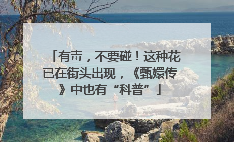 有毒，不要碰！这种花已在街头出现，《甄嬛传》中也有“科普”
