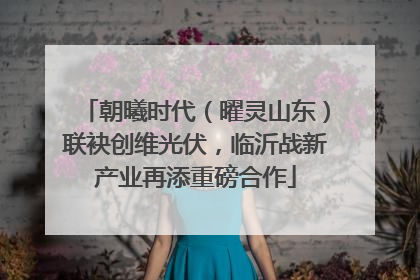朝曦时代（曜灵山东）联袂创维光伏，临沂战新产业再添重磅合作