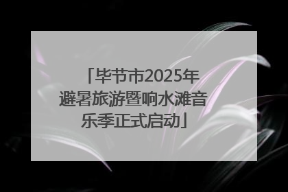 毕节市2025年避暑旅游暨响水滩音乐季正式启动