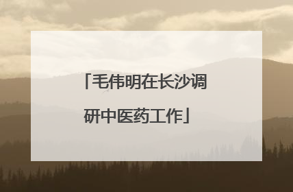 毛伟明在长沙调研中医药工作