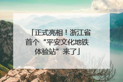 正式亮相！浙江省首个“平安文化地铁体验站”来了