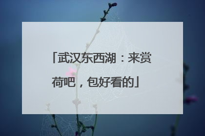 武汉东西湖：来赏荷吧，包好看的