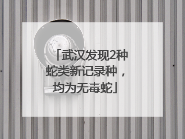 武汉发现2种蛇类新记录种，均为无毒蛇