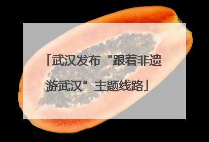 武汉发布“跟着非遗游武汉”主题线路