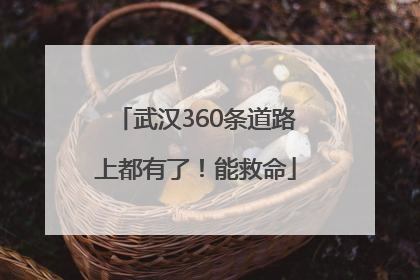 武汉360条道路上都有了！能救命