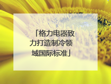 格力电器致力打造制冷领域国际标准