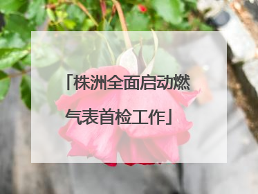 株洲全面启动燃气表首检工作