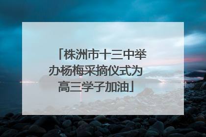 株洲市十三中举办杨梅采摘仪式为高三学子加油