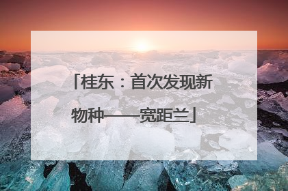 桂东：首次发现新物种——宽距兰