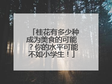 桂花有多少种成为美食的可能？你的水平可能不如小学生！